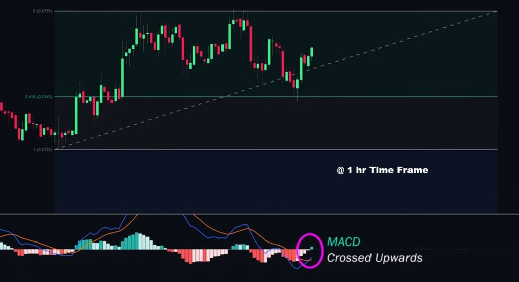 Analyze Market with MACD and Fibonacci Tool